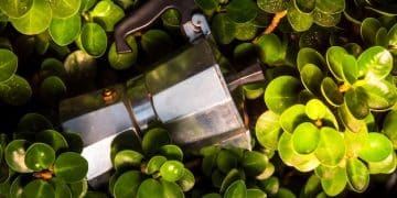 Water Conservation: 3 Smart Irrigation Systems for US Gardens - Cover Image