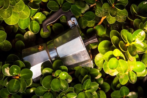 Water Conservation: 3 Smart Irrigation Systems for US Gardens