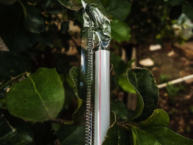 A close-up of a drip irrigation system in a vegetable garden, showing the drip lines and emitters delivering water directly to the base of tomato plants. The soil around the plants is moist but not saturated, indicating efficient water usage.