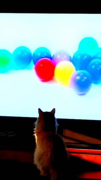 A detailed view of a 4K Ultra HD projector casting a sharp, colorful image onto a screen in a darkened living room, showcasing the clarity and vibrancy of the projection.