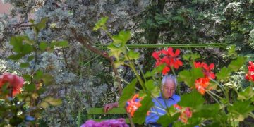 Smart Gardening: Automated Tools for a Thriving US Backyard - Cover Image