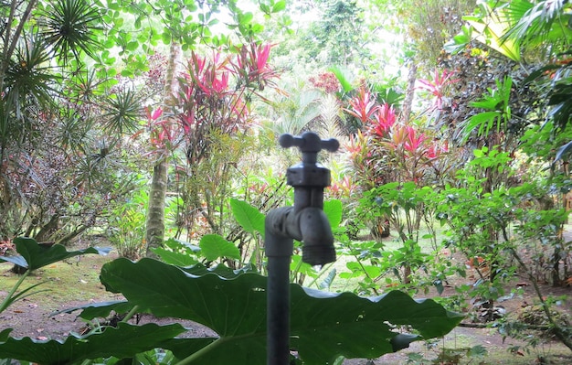 A close-up of a smart sprinkler head in a US garden, attached to a network of pipes. The surrounding soil is moist but not oversaturated, indicating efficient watering. The sprinkler head is sleek and modern in design, with visible sensors and adjustable nozzles.
