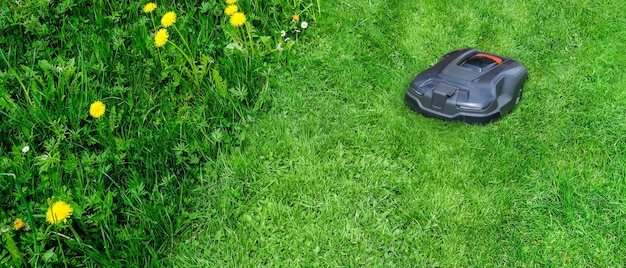 A robotic lawnmower is autonomously cutting grass in a neatly manicured US lawn. The mower is sleek and modern in design, navigating around trees and flowerbeds. The grass is evenly cut and healthy, demonstrating the effectiveness of the robotic mower.