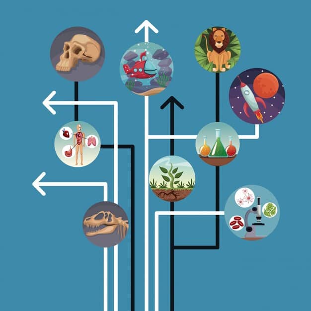 A complex infographic showcasing interconnected factors contributing to healthcare inflation, with arrows pointing from elements like 