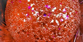 New Cancer Treatments & Research in 2025: A Deep Dive - Cover Image