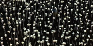 Breaking: New Federal Regulations on Data Privacy Set to Take Effect January 2025 - Cover Image