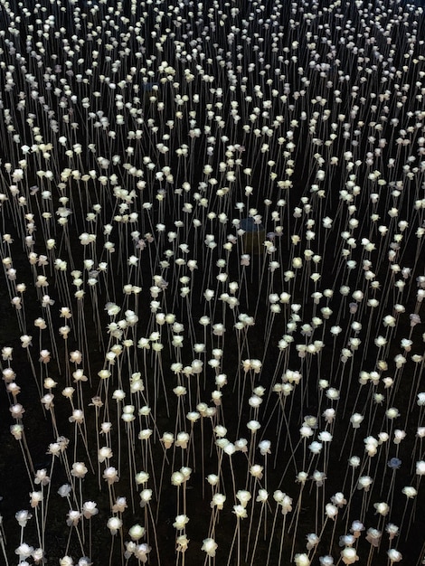 Breaking: New Federal Regulations on Data Privacy Set to Take Effect January 2025